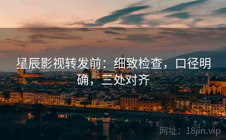 星辰影视转发前：细致检查，口径明确，三处对齐