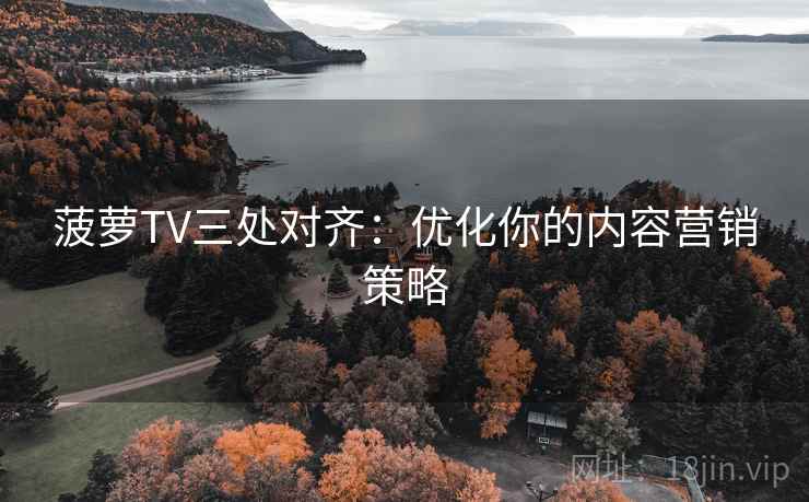 菠萝TV三处对齐：优化你的内容营销策略