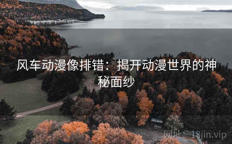 风车动漫像排错：揭开动漫世界的神秘面纱