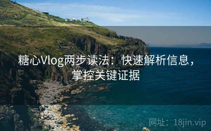 糖心Vlog两步读法：快速解析信息，掌控关键证据